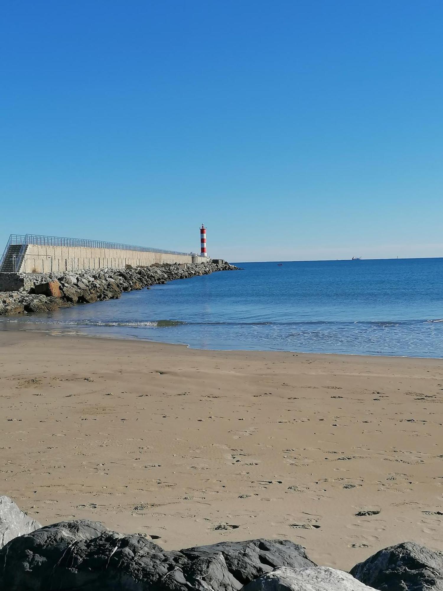 Entre Et Roseaux - Piscine - Proche Centre Et - Petfriendly Chalet *