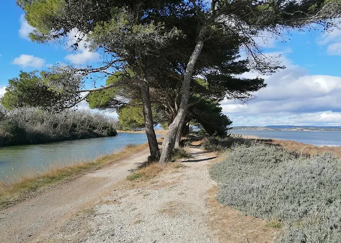 Entre Mer Et Roseaux - Piscine - Proche Centre Et Mer - Petfriendly