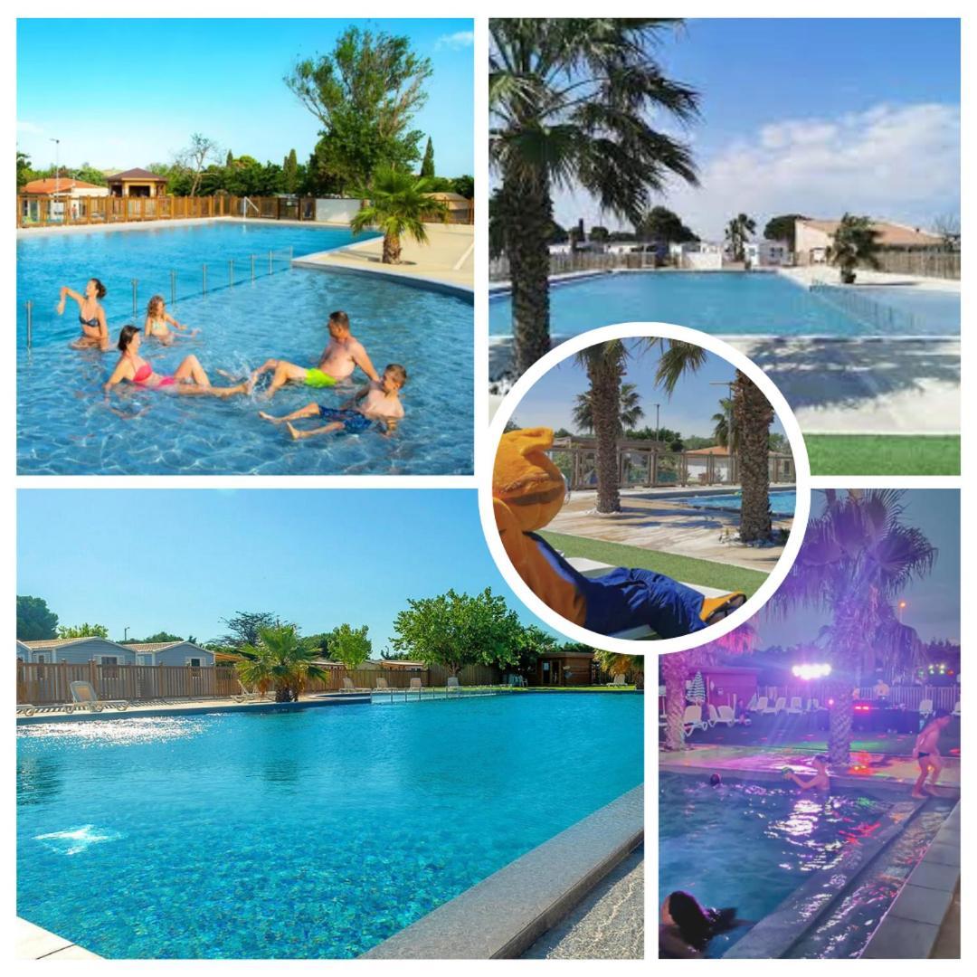Entre Et Roseaux - Piscine - Proche Centre Et - Petfriendly